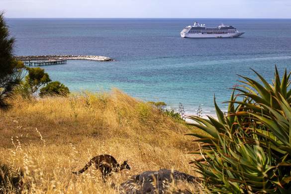 Oceania Cruises Kangaroo Island Australia.jpg